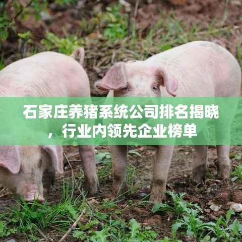 石家庄养猪系统公司排名揭晓，行业内领先企业榜单