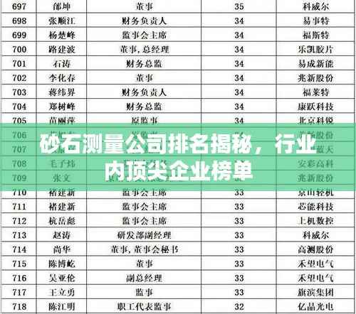 砂石测量公司排名揭秘，行业内顶尖企业榜单