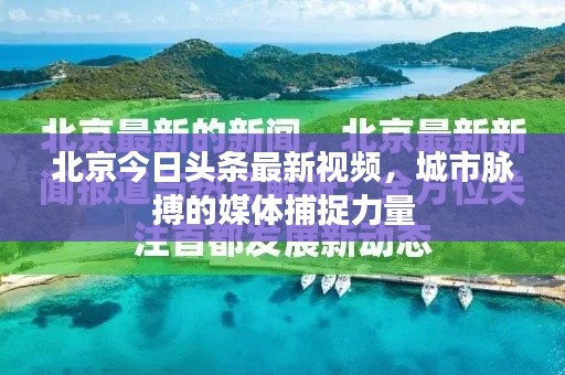 北京今日头条最新视频，城市脉搏的媒体捕捉力量