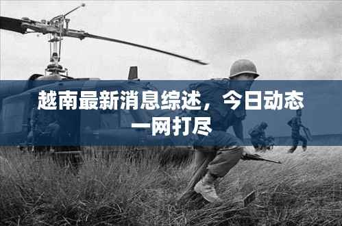 越南最新消息综述，今日动态一网打尽
