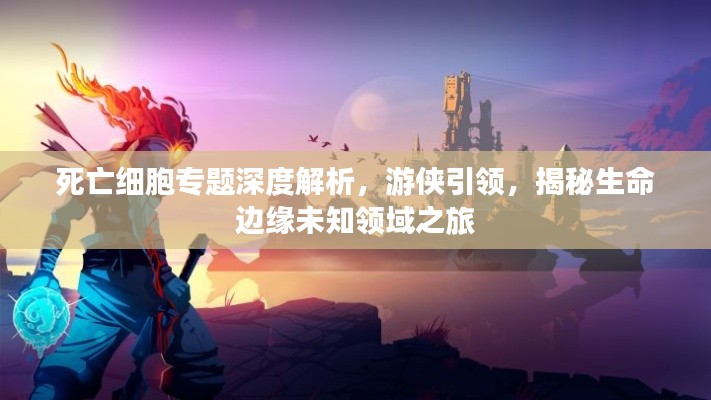 死亡细胞专题深度解析，游侠引领，揭秘生命边缘未知领域之旅