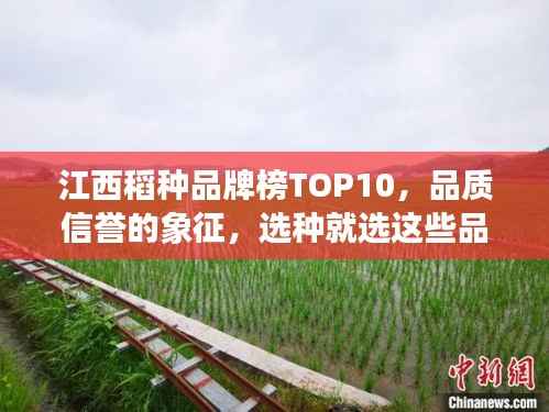 江西稻种品牌榜TOP10，品质信誉的象征，选种就选这些品牌！