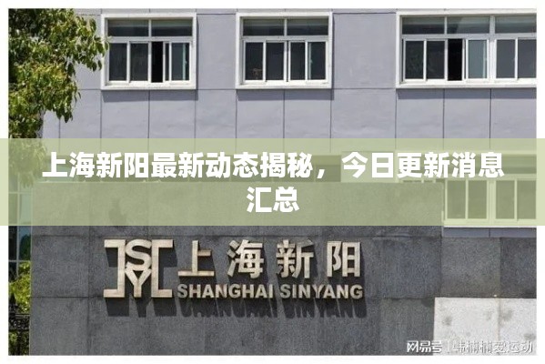 上海新阳最新动态揭秘，今日更新消息汇总