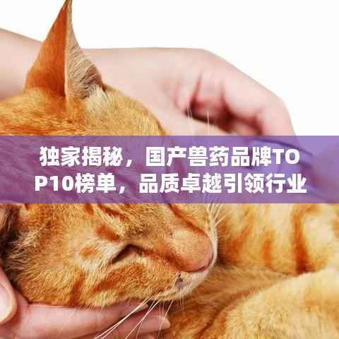 独家揭秘，国产兽药品牌TOP10榜单，品质卓越引领行业！