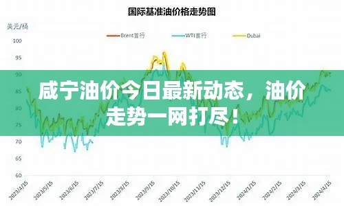 咸宁油价今日最新动态，油价走势一网打尽！