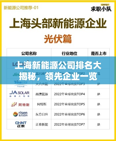 上海新能源公司排名大揭秘，领先企业一览