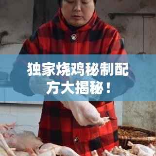 独家烧鸡秘制配方大揭秘!