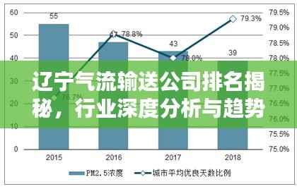 辽宁气流输送公司排名揭秘，行业深度分析与趋势预测