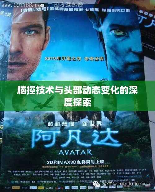 脑控技术与头部动态变化的深度探索