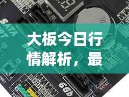 大板今日行情解析，最新报价与市场动态全掌握