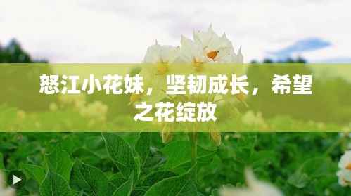 鸟云之阵 第3页