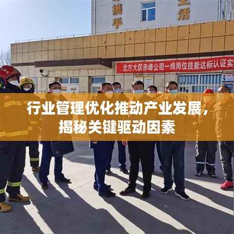 行业管理优化推动产业发展，揭秘关键驱动因素
