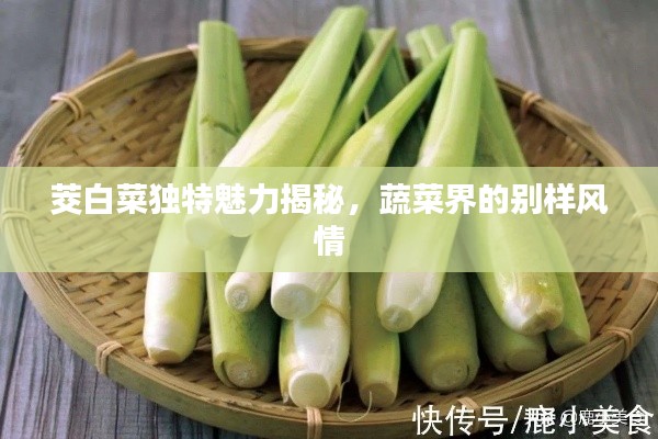 地覆天翻 第3页