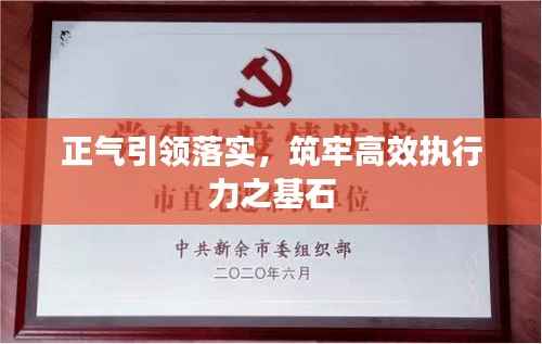 正气引领落实，筑牢高效执行力之基石