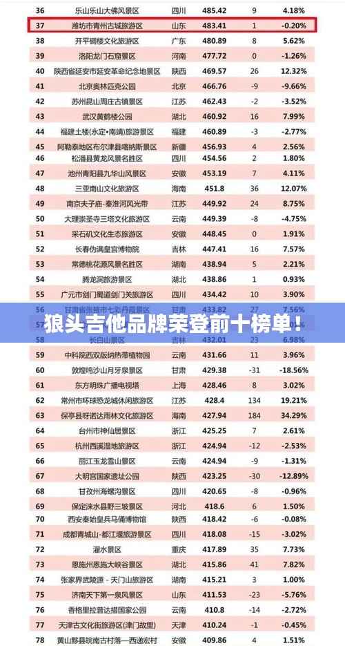 狼头吉他品牌荣登前十榜单！