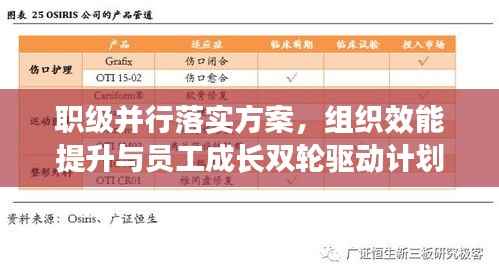 职级并行落实方案，组织效能提升与员工成长双轮驱动计划