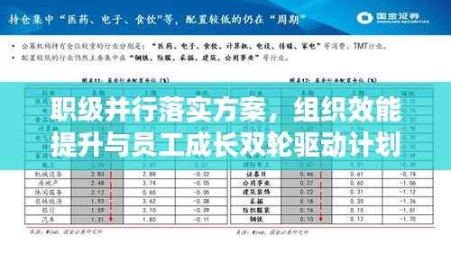 职级并行落实方案,组织效能提升与员工成长双轮驱动计划