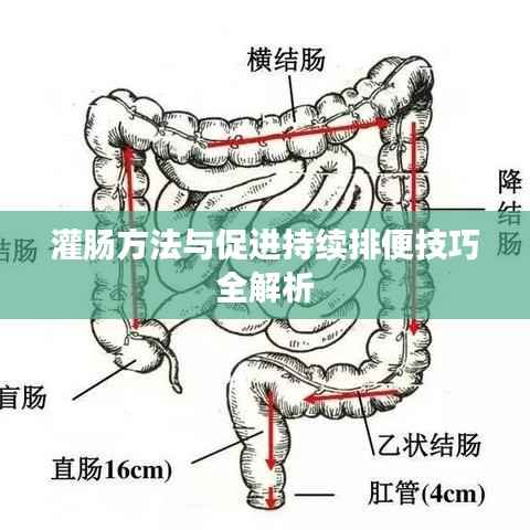 灌肠方法与促进持续排便技巧全解析