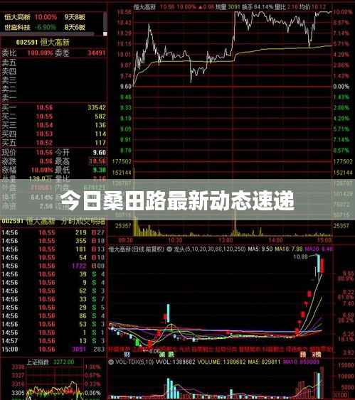 今日桑田路最新动态速递