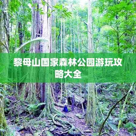 黎母山国家森林公园游玩攻略大全