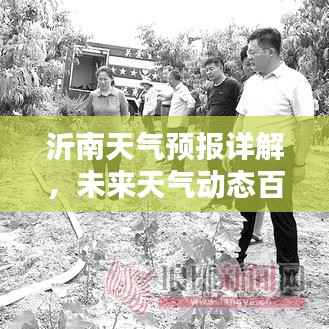 沂南天气预报详解，未来天气动态百度为你解析