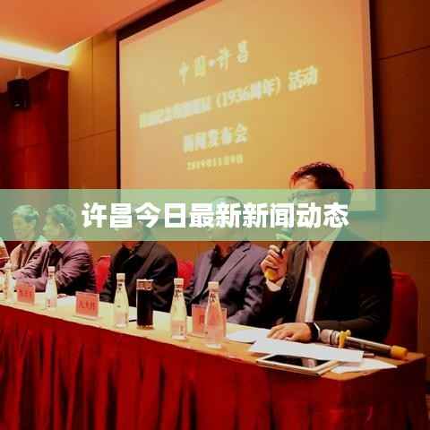 许昌今日最新新闻动态