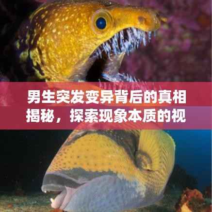 容光焕发 第4页