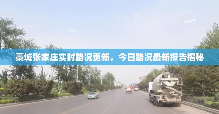 百鸟归巢 第3页