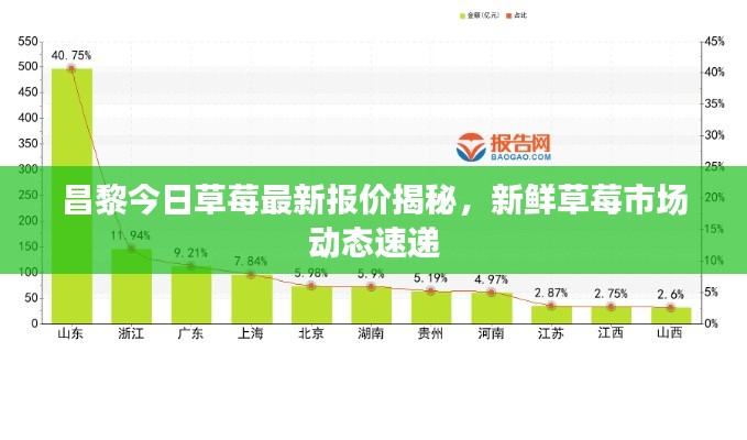 昌黎今日草莓最新报价揭秘，新鲜草莓市场动态速递
