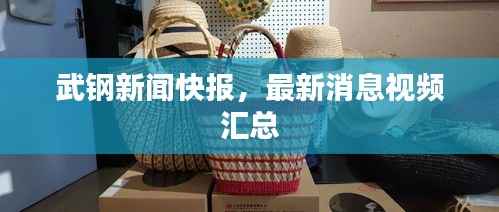 武钢新闻快报，最新消息视频汇总