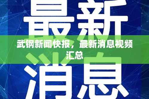武钢新闻快报,最新消息视频汇总