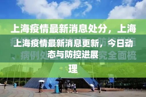 上海疫情最新消息更新，今日动态与防控进展