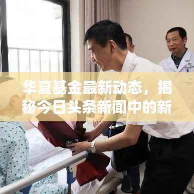 华夏基金最新动态，揭秘今日头条新闻中的新进展