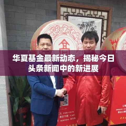 华夏基金最新动态,揭秘今日头条新闻中的新进展