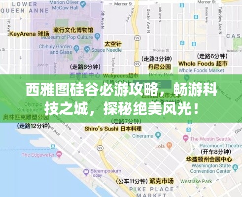 西雅图硅谷必游攻略，畅游科技之城，探秘绝美风光！