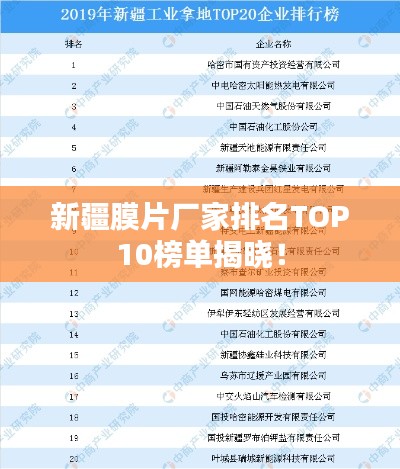 新疆膜片厂家排名TOP10榜单揭晓！