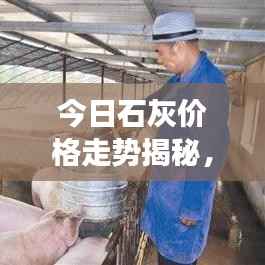 今日石灰价格走势揭秘，最新消息与市场影响因素分析
